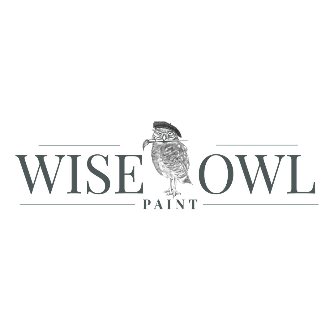 Wise Owl Paint Meandering Maker Or