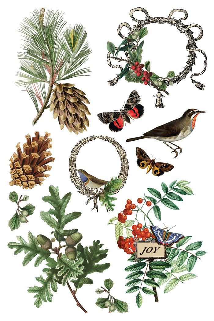 Winter Botanist