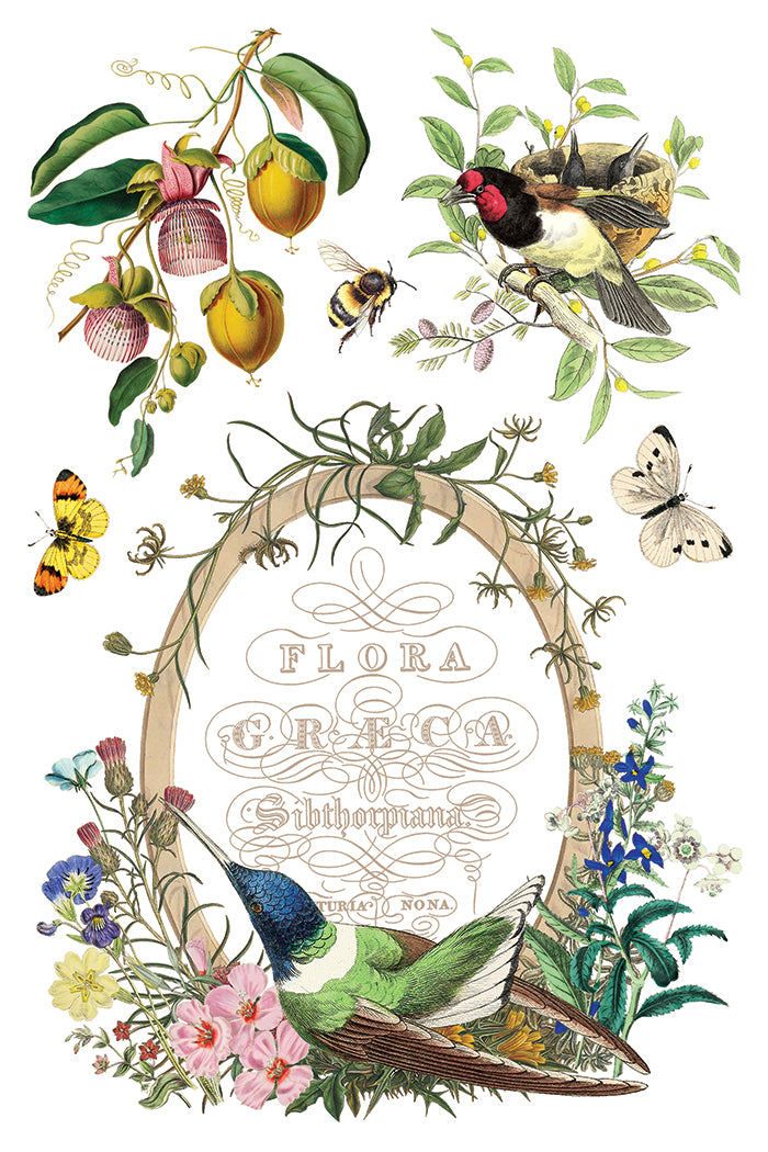 Flora Greca IOD Transfer 