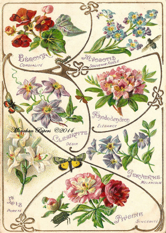 All the Pretty Flowers