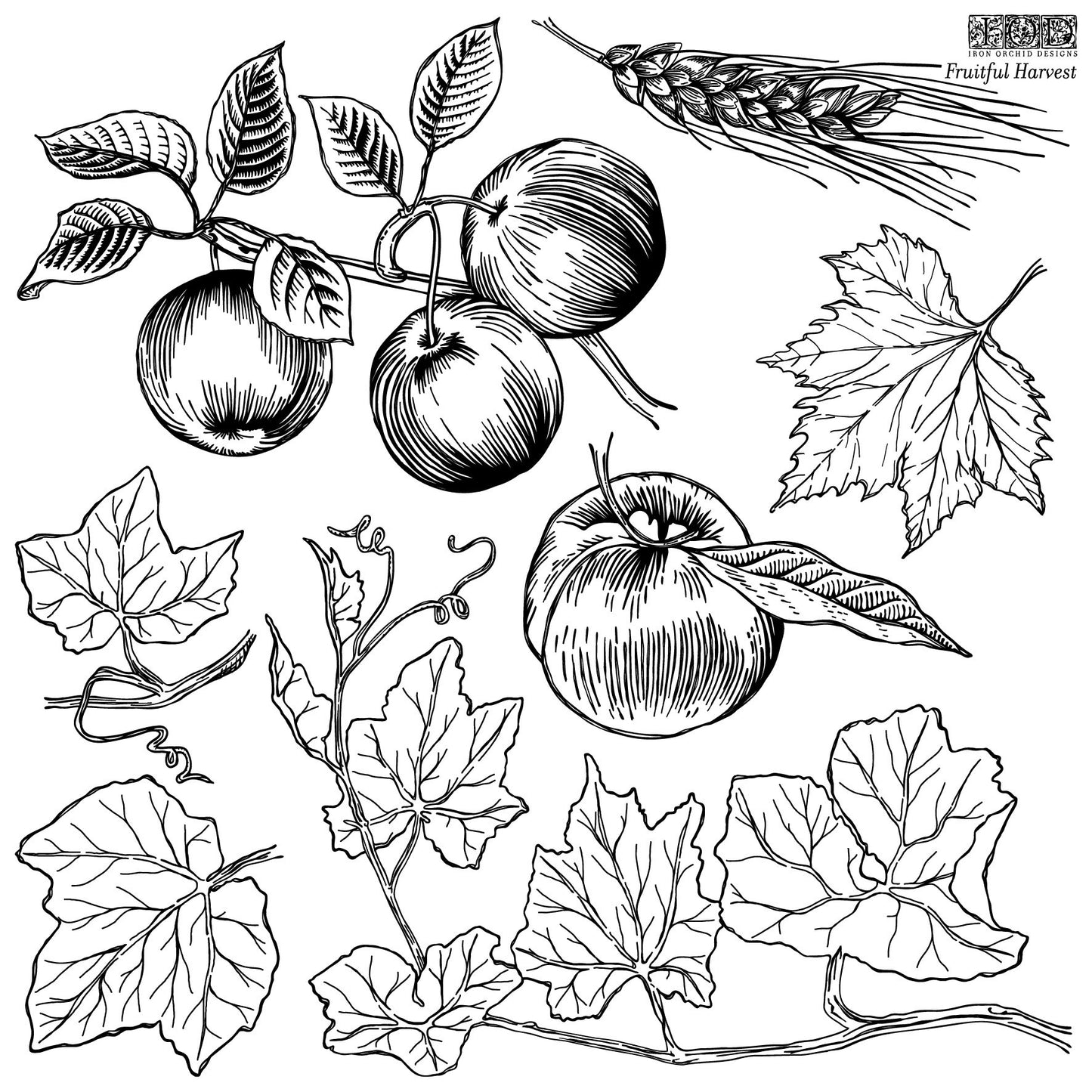 FRUITFUL HARVEST 12×12 IOD STAMP