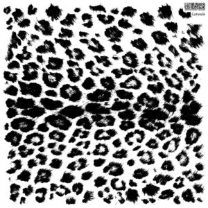 Cat Walk 12×12 IOD STAMP