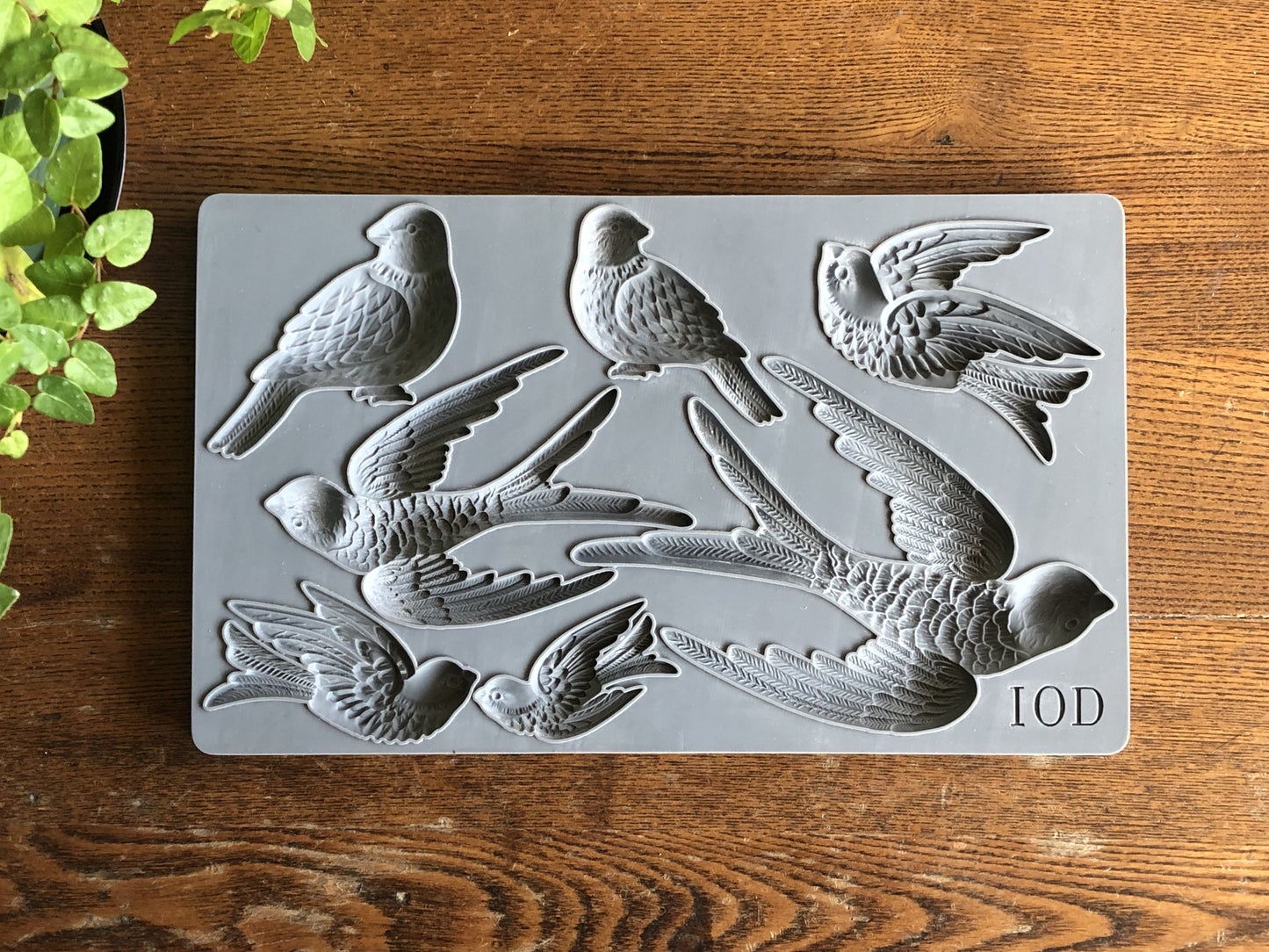 Birdsong 6x10 Decor Moulds
