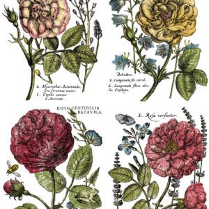 Ladies in Waiting 24x33 Decor Transfer™