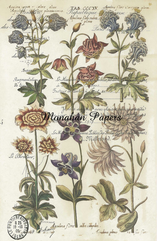 Botanical 1 - BOT1