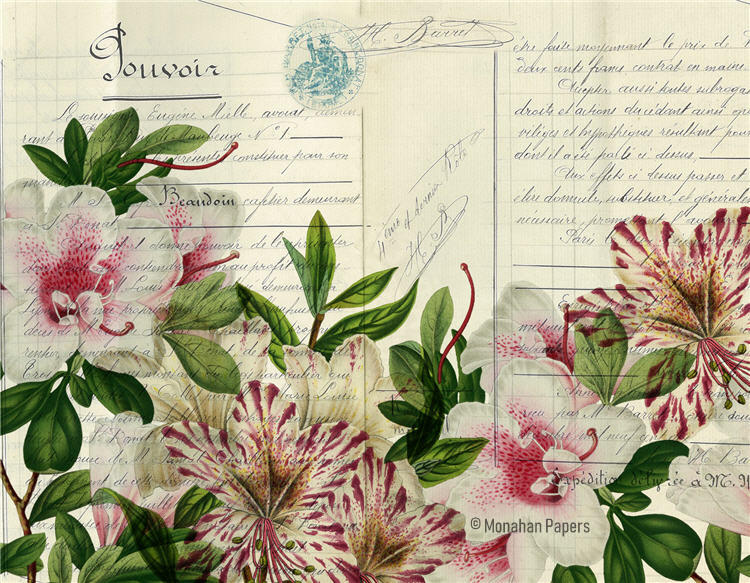 Botanical 93 - BOT93