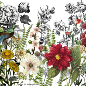 Midnight Garden Pad four 12x16 sheets