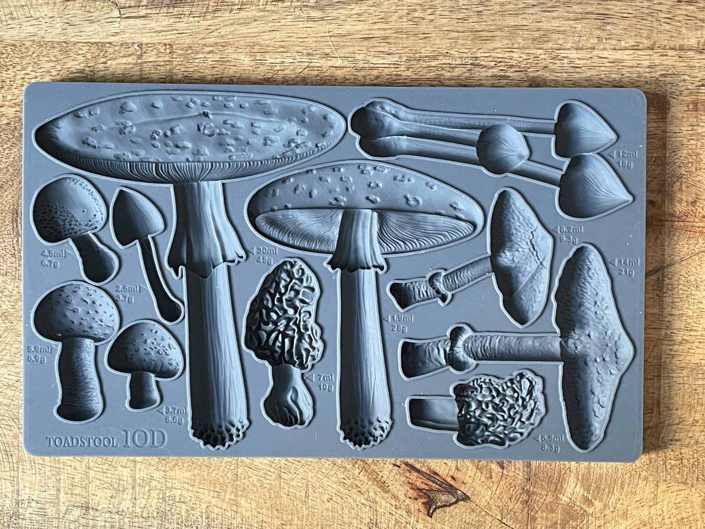 Toadstool 6X10 IOD Mould™