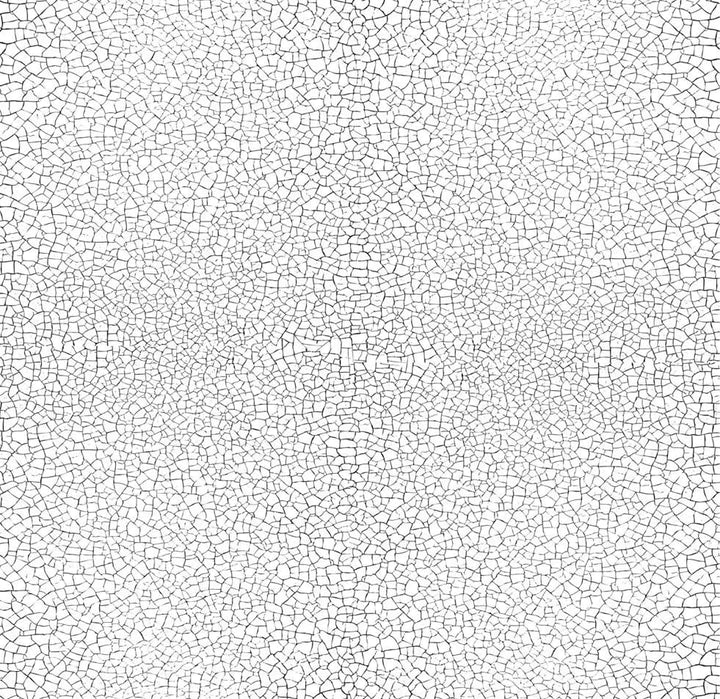 Craquelure Stamp
