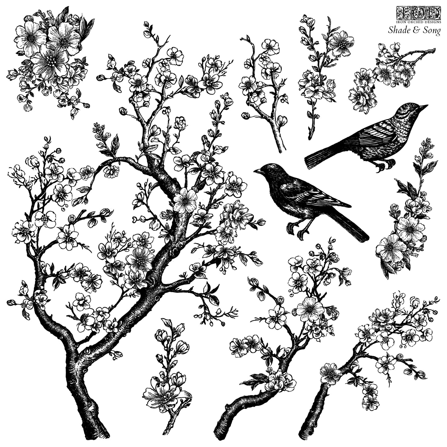 Shade & Song stamp