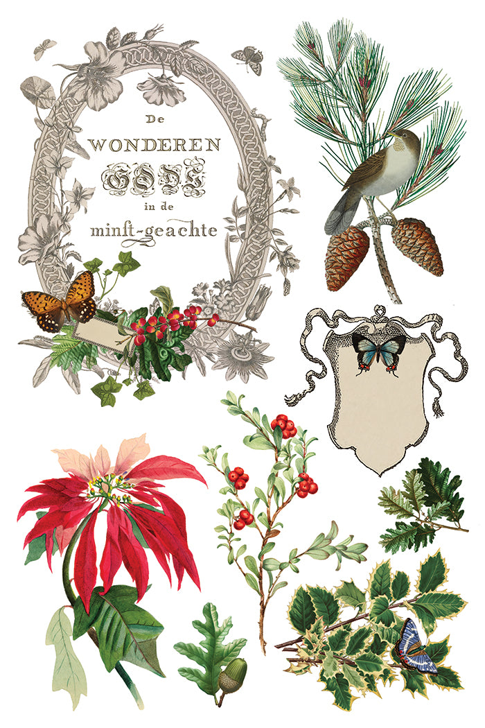 Winter Botanist