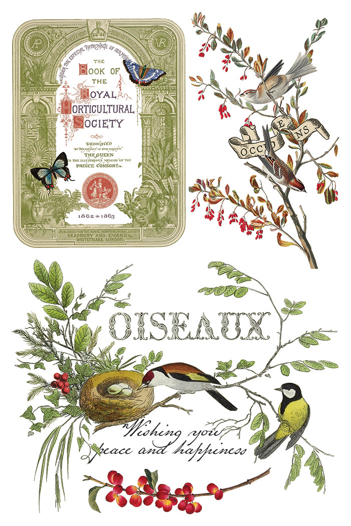 Winter Botanist