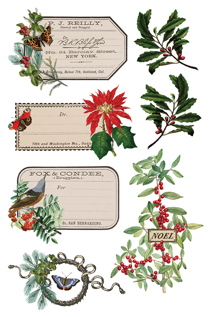Winter Botanist
