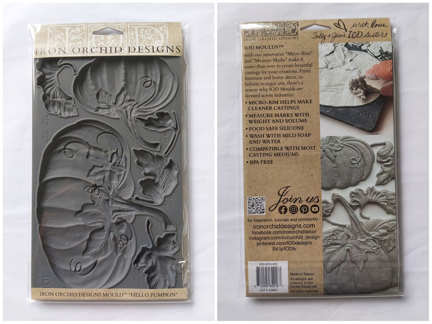 Hello Pumpkin mold
