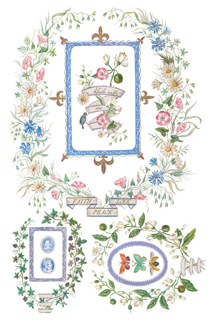 Emily Clare  IOD Transfer