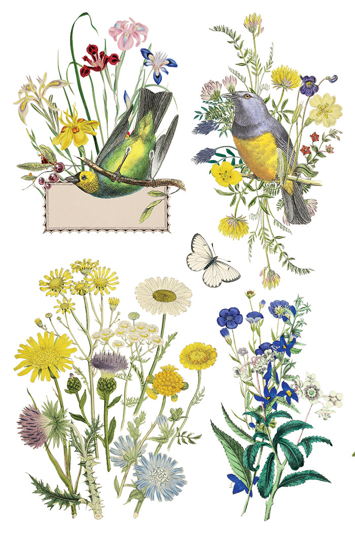 Flora Greca  IOD Transfer&nbsp;