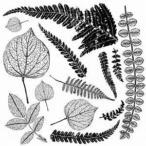 Fronds IOD DECOR STAMO