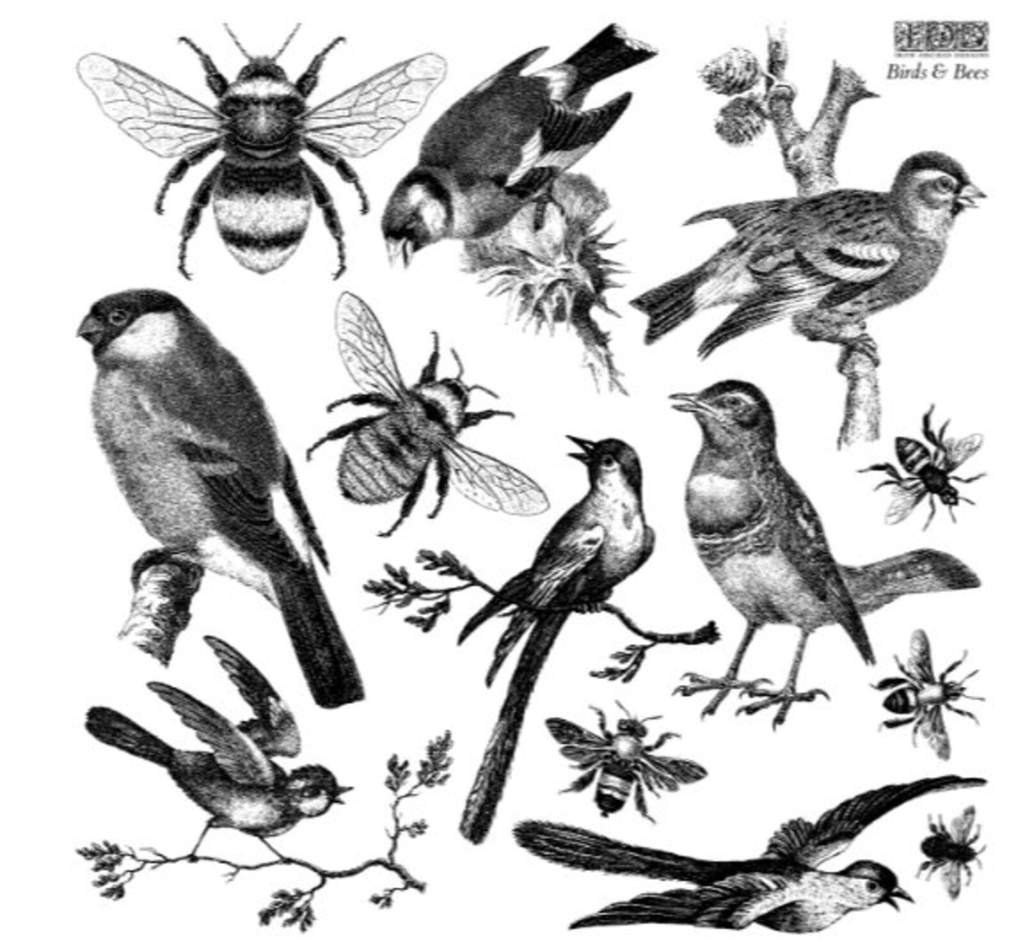Birds & Bees 12×12 IOD STAMP™