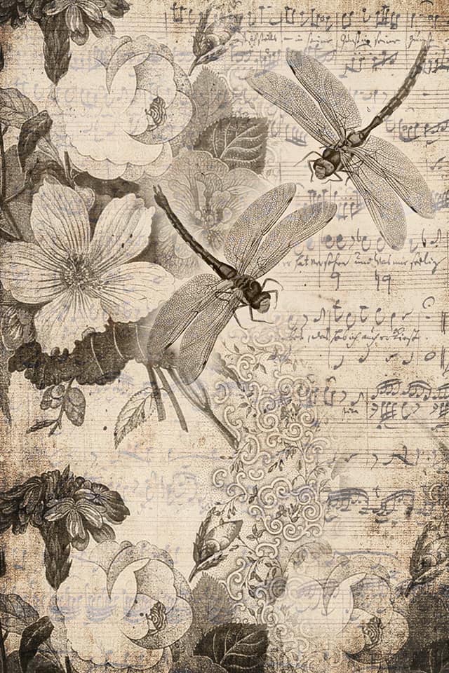 Musical Dragonflies