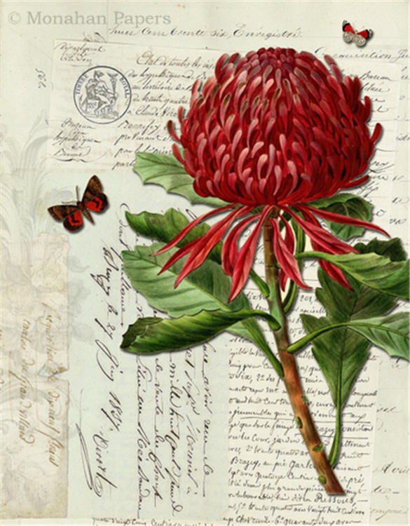 Botanical - BOT91