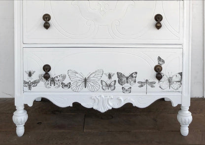 BUTTERFLIES 12×12 DECOR STAMP