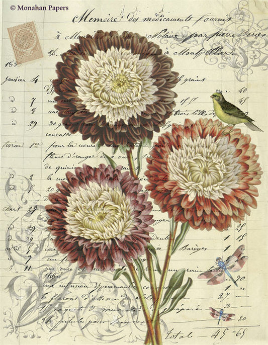 Botanical 60 - BOT60