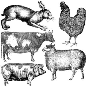 Farm Animals 12x12 Decor Stamp™