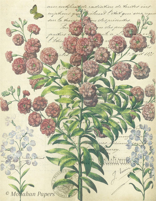Botanical 51