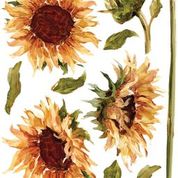 PAINTERLY FLORALS IOD TRANSFER 12x16 PAD