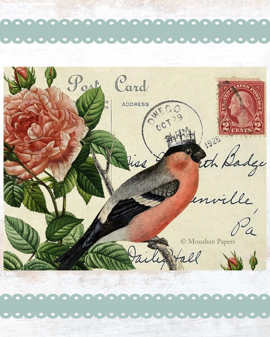 monahan paper SPS984bb red belly bird