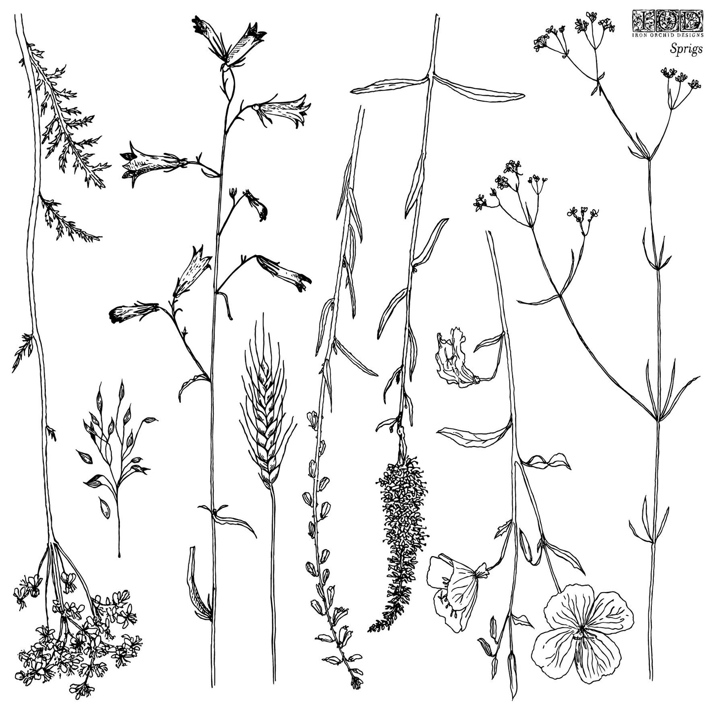 SPRIGS 12×12 IOD STAMP