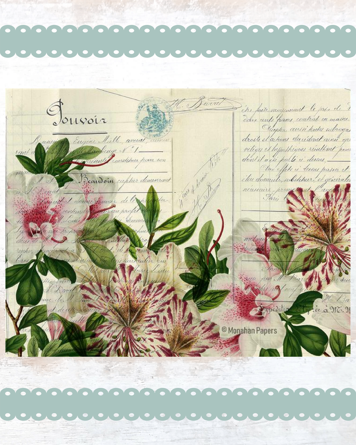 Botanical 93 - BOT93