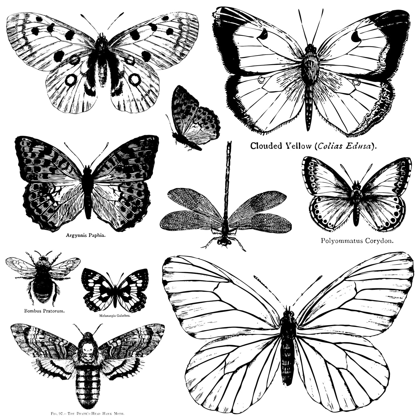 BUTTERFLIES 12×12 DECOR STAMP
